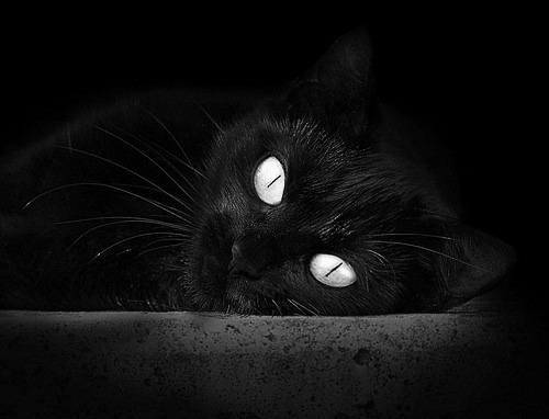 国际乒联混合团体世界杯：德国队的赛制优势与风险，世乒赛 德国