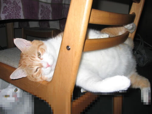 替补登场球员是否更能体现球队战术板应变水平,替补球员进场怎么处罚