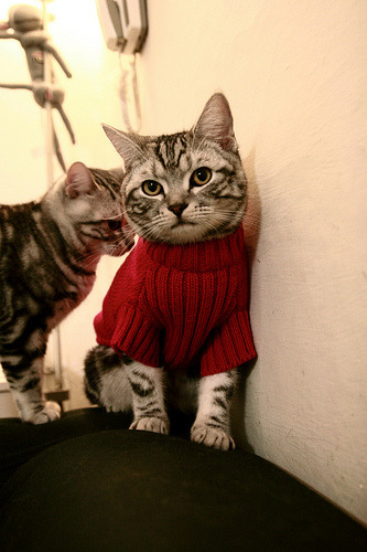 拉莫斯正式加盟巴黎圣日耳曼，欧洲豪门大战再升级